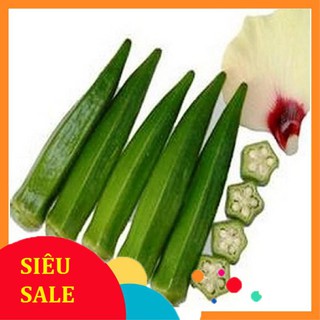 20g Hạt giống Đậu Bắp Cao Sản (tặng gói Kích nẩy mầm và Hướng dẫn)