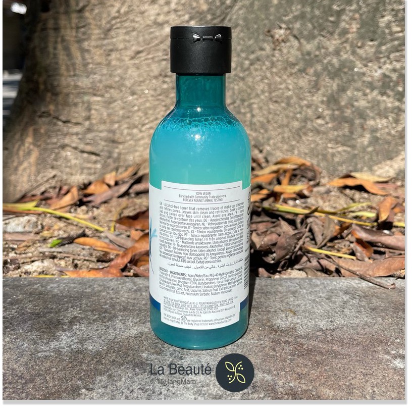 [Mã giảm giá mỹ phẩm chính hãng] The Body Shop Seaweed Oil-Balancing Toner - Nước Cân Bằng Làm Sạch Da 250ml