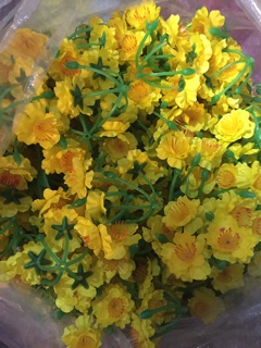 (1kg) hoa mai gắn lên cây trang trí