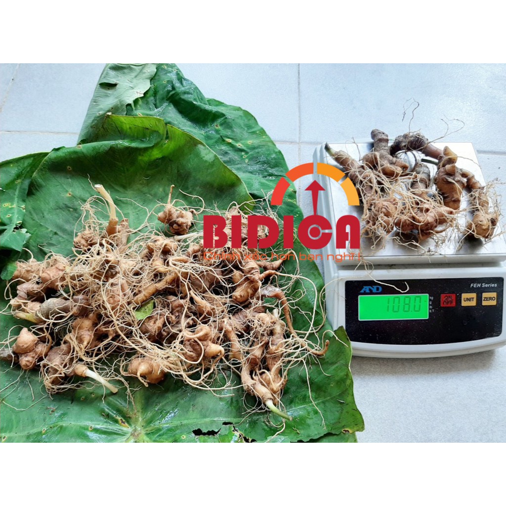 HÀNG CHÍNH HÃNG-CÂN ĐIỆN TỬ CÂN YẾN SÀO ĐỘ CHÍNH XÁC CAO