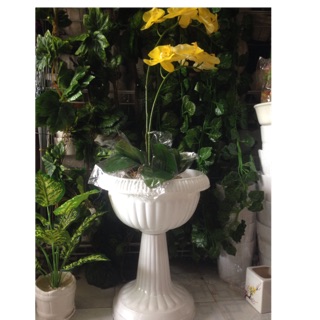 Chậu ly nhựa trồng cây cắm bông