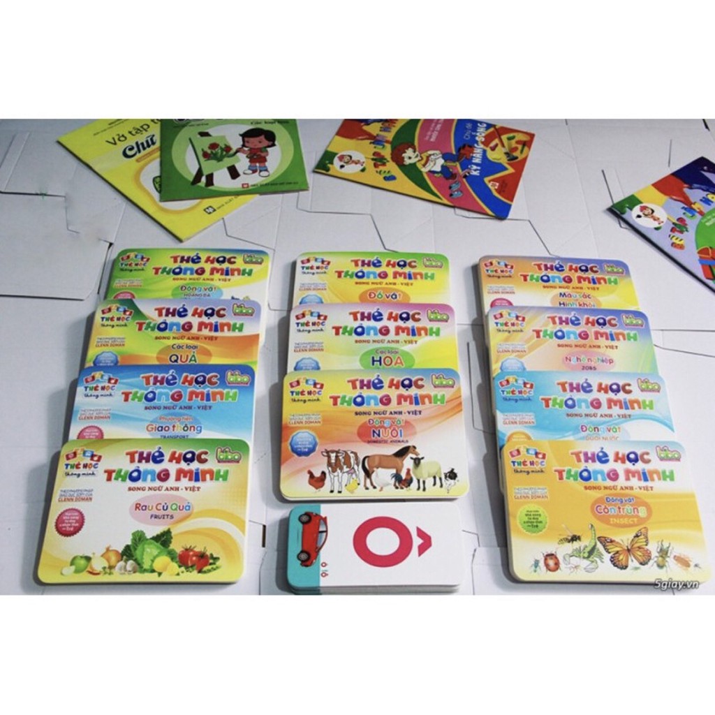 Bộ thẻ học thông minh Flashcard cho bé loại to 12x16cm , 12 chủ đề tặng thêm bộ chữ cái, số (270 thẻ)