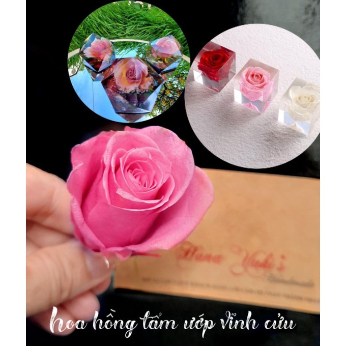 Hoa hồng khô vĩnh cửu sử dụng trong Resin, Nến, decor, Handmade...❄HanaYuki❄ [Vui lòng đọc KỸ thông tin mô tả sản phẩm]