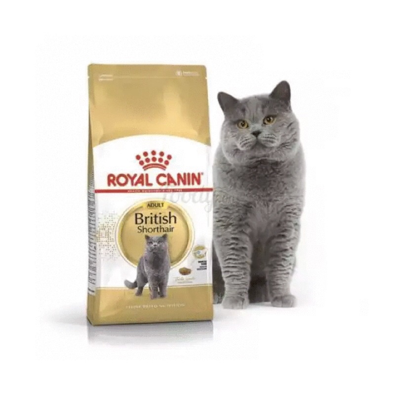THỨC ĂN CHO MÈO TRƯỞNG THÀNH, BRITISH SHORTHAIR ADULT 2kg