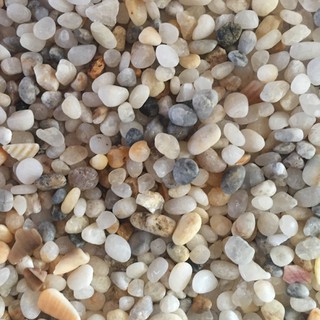 🐬 500gram Sỏi muối tiêu trang trí bể cá, chậu cây, tiểu cảnh để bàn