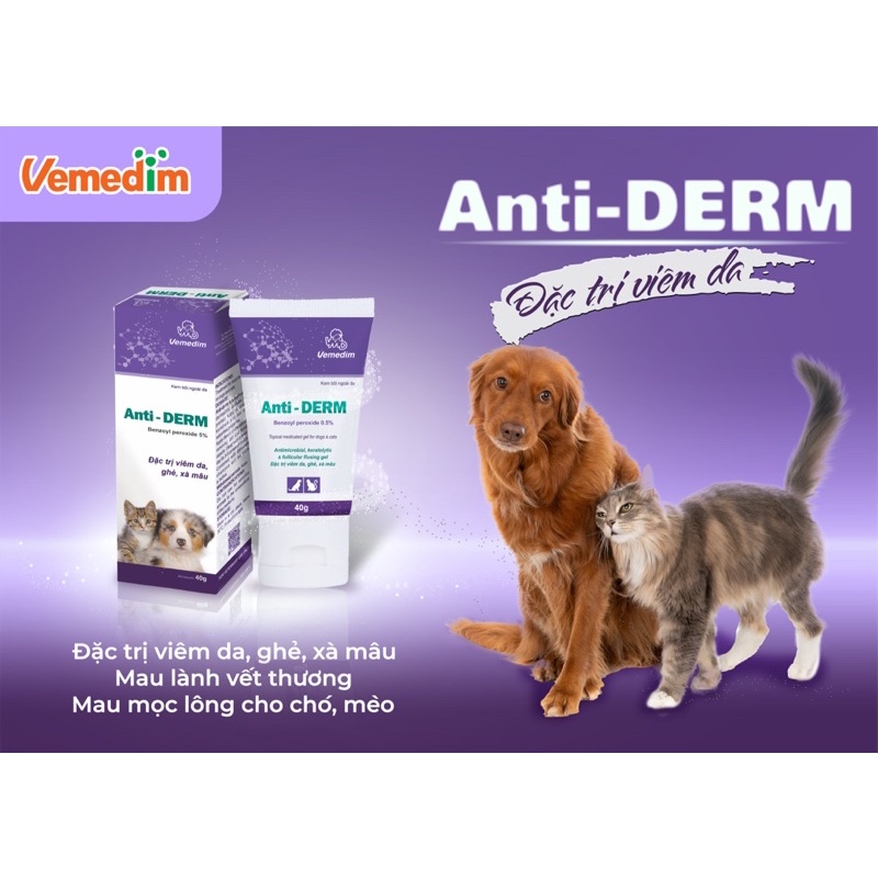 Anti-Derm kem bôi viêm da, ghẻ, xà mâu 40g