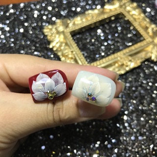 40b hoa ẩn chân- hoa bột nail