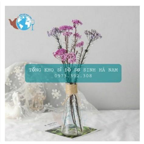 Combo 2 Bình Thủy Tinh Thắt Eo,Bình Thủy Tinh Cắm Hoa Để Bàn Làm Việc 350ml