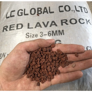 1KG Đá LAVA ĐỎ Nham Thạch 3-6mm