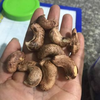 Hạt điều rang muối bình phước sz b