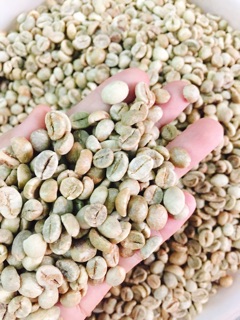 Cà phê rang mộc Han Cofee-Robusta 100%