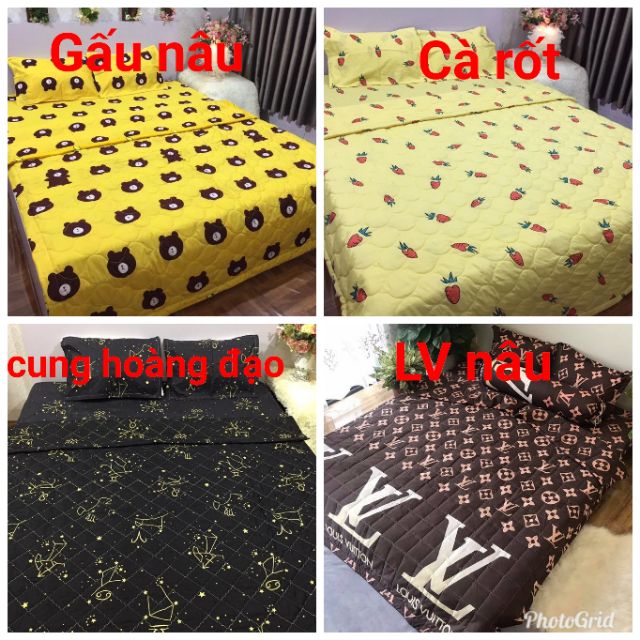 Bộ chăn ga hè 5 món cotton poly