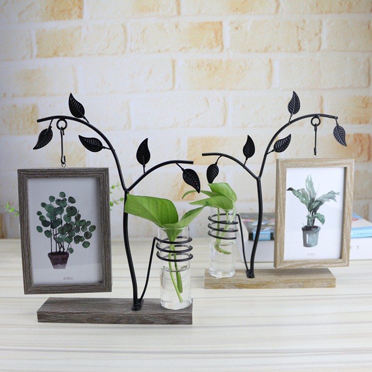 Khung ảnh kết hợp thủy canh sáng tạo, khung ảnh 2 mặt, trang trí bàn làm việc, quà tặng.