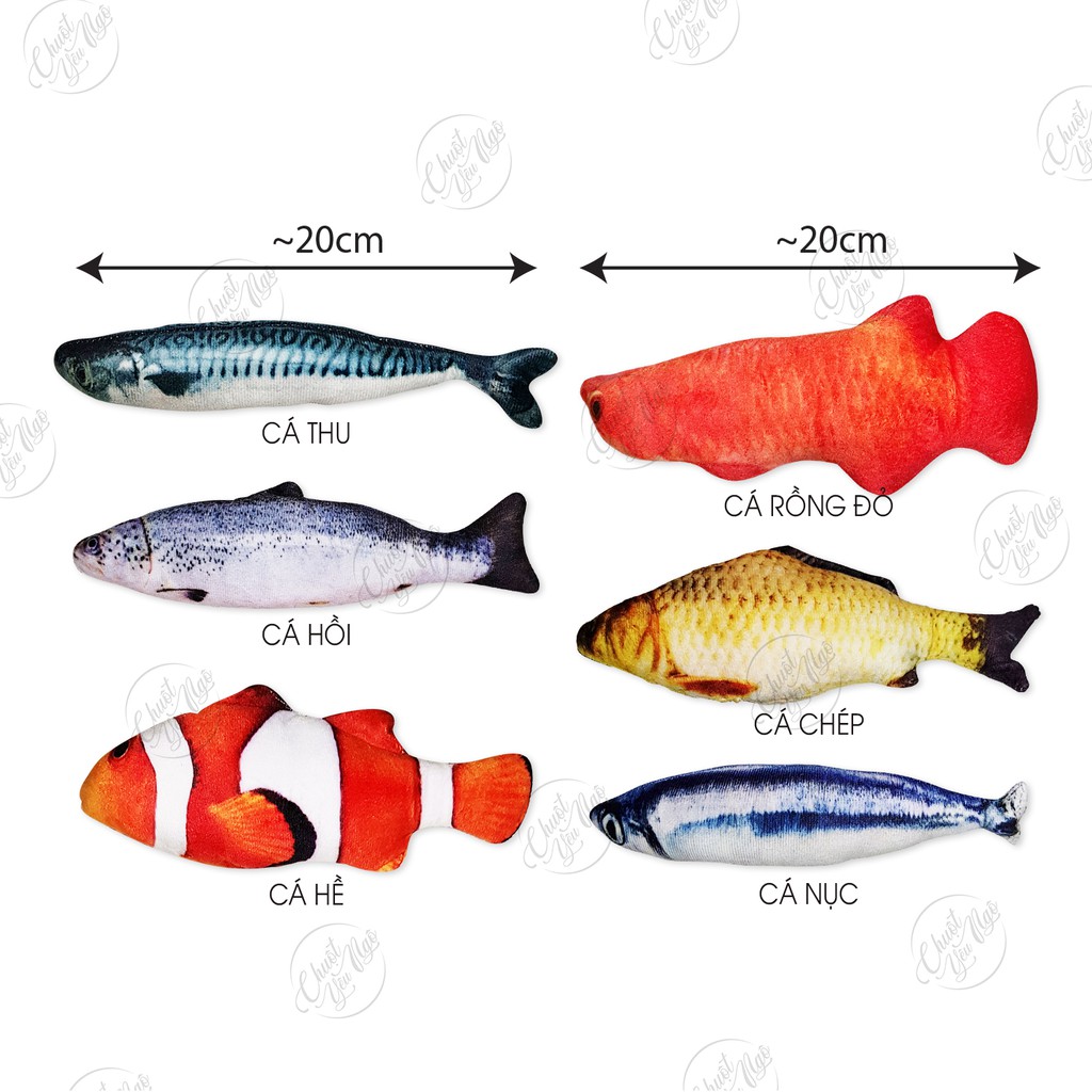 Đồ chơi cá nhồi bông dùng ướp cỏ bạc hà cho mèo 20cm/ Đồ chơi hình cá kèm cỏ bạc hà giúp mèo xả stress, thư giãn