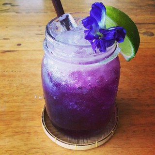 Hoa lan hồ điệp giả