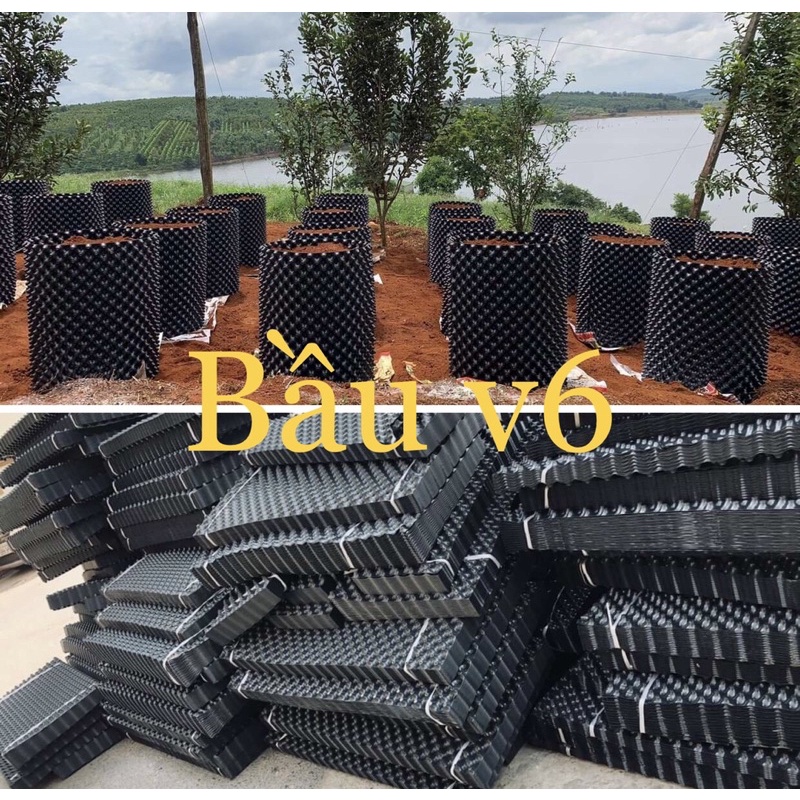 50m bầu v6 cao 20cm( dày 0,6mm) có tặng kèm ốc vít