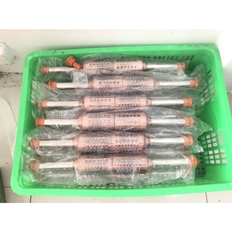 Cây lăn ngải đồng đôi