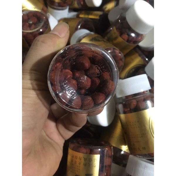 Mồi HẠT câu TRẮM , CHÉP ,TRÔI ,DIẾC ,RÔ PHI...dạng viên siêu nhạy