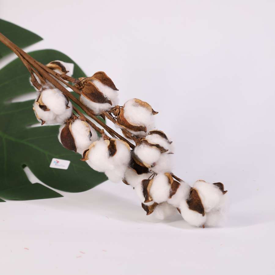 HOA BÔNG GÒN Trang trí Tết, Valentine Sinh Nhật quán cafe, phòng khách, phòng ngủ Decor