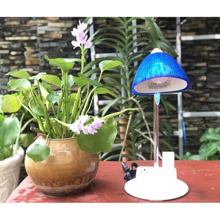 01BBL/01BPK - Đèn bàn khớp mềm LIOA có thêm ổ cắm và hộp đựng bút