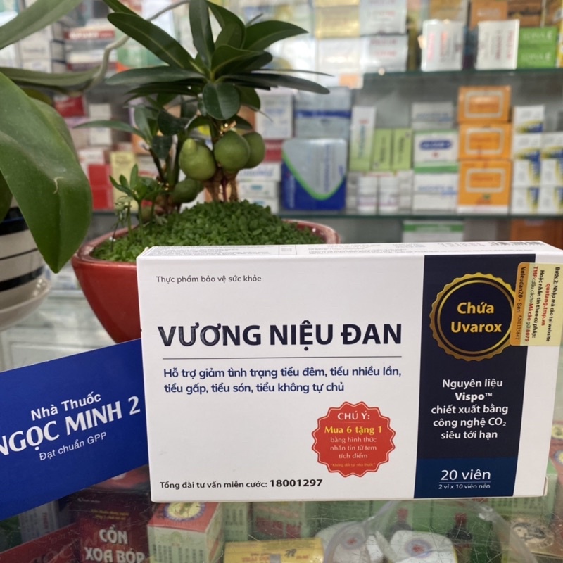 ✅ [Chính Hãng] Vương Niệu Đan Hỗ trợ giảm tình trạng tiểu đêm, tiểu nhiều lần, tiểu gấp, tiểu són, tiểu không tự chủ.