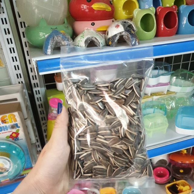 Hướng dương hạt lớn gói 100g cho Hamster và thú cưng