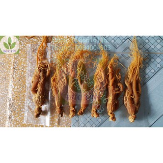 Sâm dâu (100g)