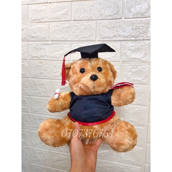 30cm-20cm GẤU BÔNG TỐT NGHIỆP LÔNG XÙ Cao Cấp - Tặng Kèm Túi Gói Quà + Nơ