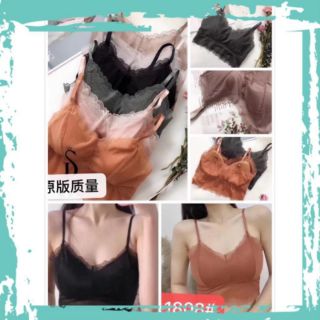 Áo bra ren lưới kiểu mới đẹp