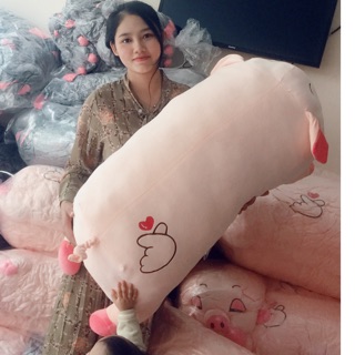 - heo mắt híp phê cần khổ 1m5