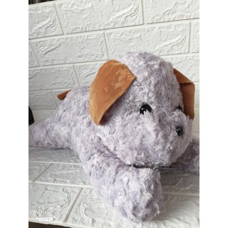 GẤU BÔNG ĐỒNG GIÁ 59K