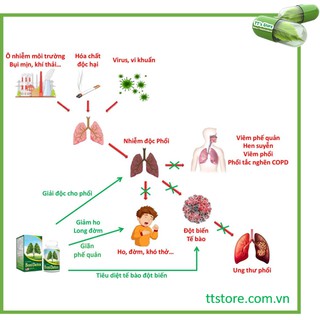 Giải độc phổi BoniDetox (Hộp 30 viên) - Botania [Boni detox, cai thuốc lá, bổ phổi]