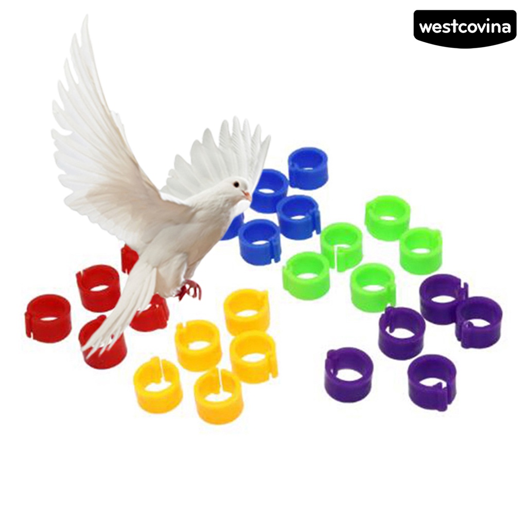 Set 100 Khuyên Đeo Chân Đánh Dấu Gia Cầm Nhiều Màu Sắc 8mm