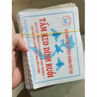 COMBO 10 Tấm keo dính ruồi nhặng,Miếng keo dnhs ruồi sinh học, keo dính ruồi nhặng, bắt ruồi