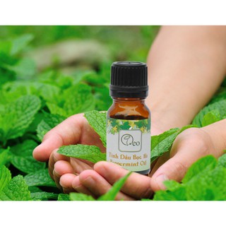Tinh dầu bạc hà 10ml - Peppermint Oil