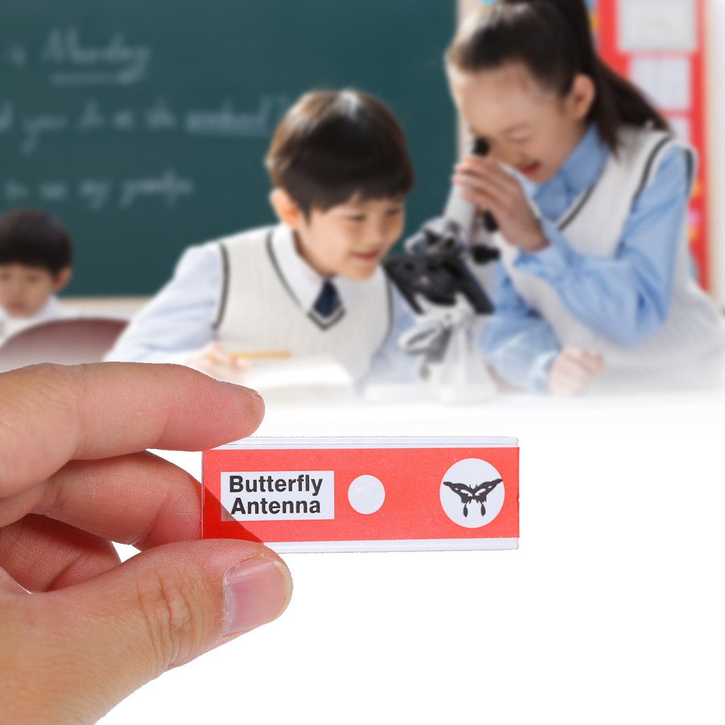 Hộp 12 tiêu bản có sẵn cho kính hiển vi