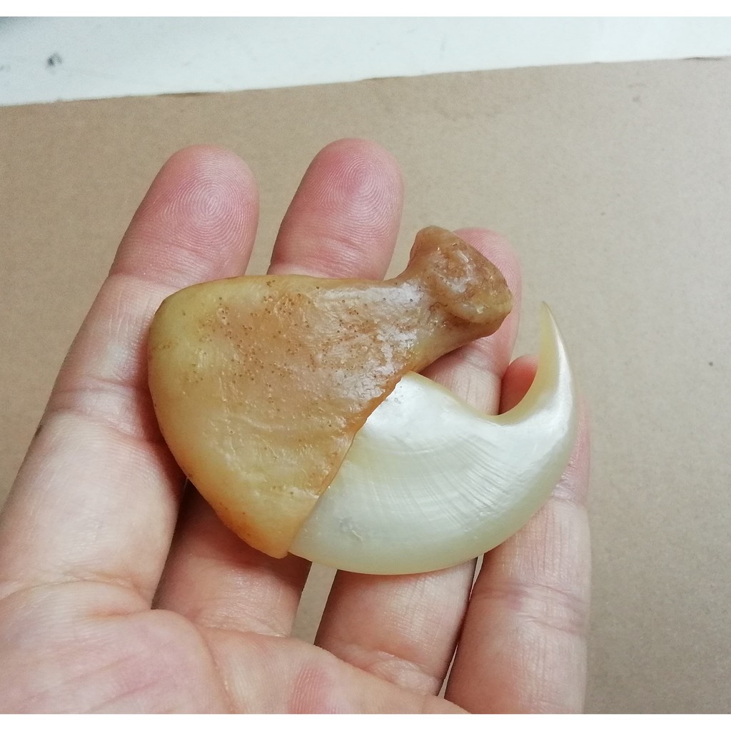 Móng cọp nhân tạo 5.5cm