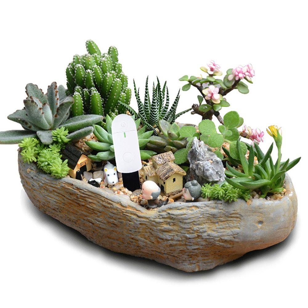 WATTLE Thiết Bị Cảm Biến Độ Ẩm Đất Trồng Cây Thông Minh