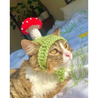 Mũ len cho mèo handmade