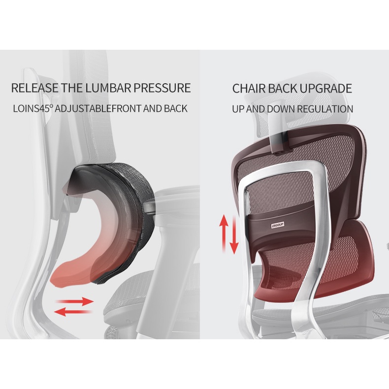 Ghế Công Thái Học Ergonomic Ergoup Fly Pro Xám