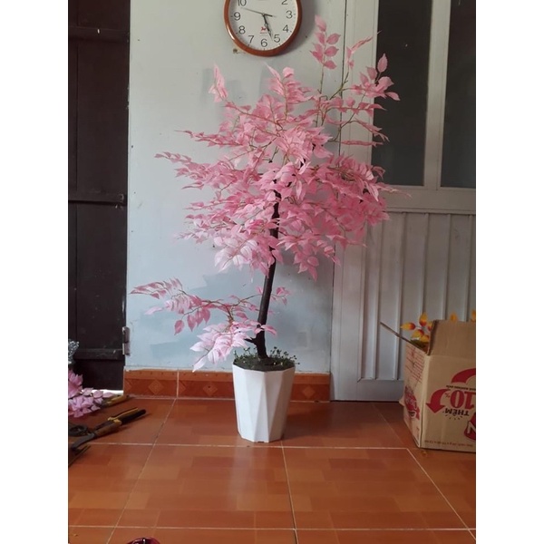 Cành lá Xà Cừ giả. Kết cây trang trí nhà cửa, decor nhà hàng