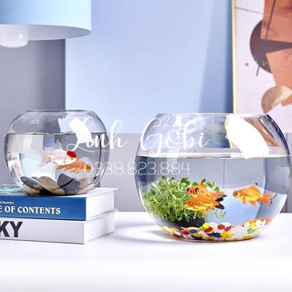 Bể cá hình cầu, bể cá hình tròn