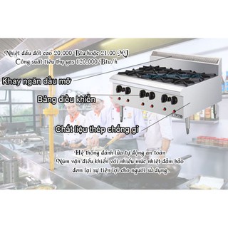 Bếp âu 6 họng Berjaya OB6