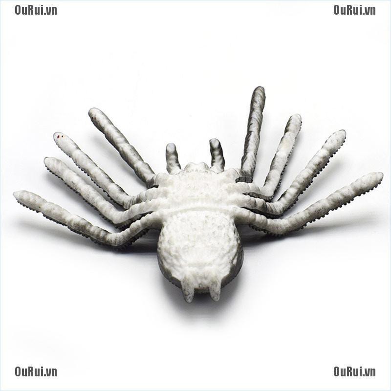 Mô Hình Côn Trùng Đồ Chơi Chất Lượng Cao Dành Cho Bé