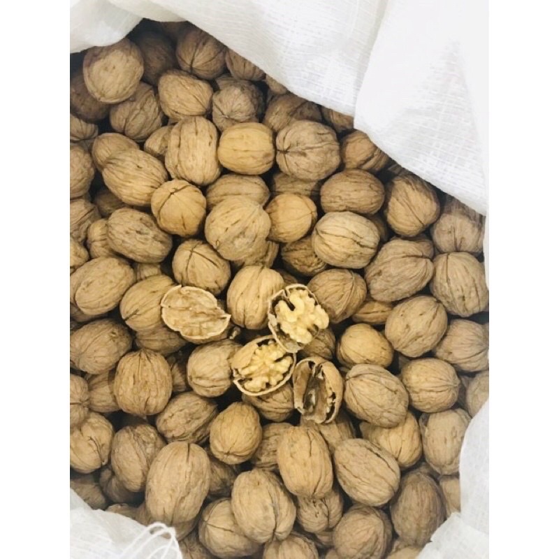 Nhân hạt óc chó sống 500g