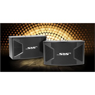 Loa Paramax SAS S-300