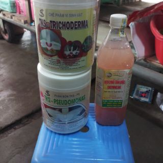Bộ ba thần dược cho lan nguyễn quốc tư