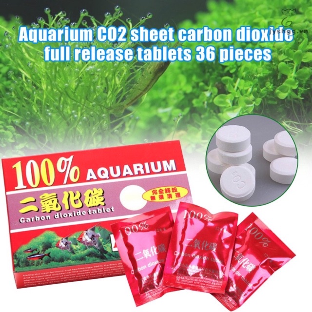 Viên Sủi CO2 cho hồ cá thuỷ sinh (hộp 36 viên)