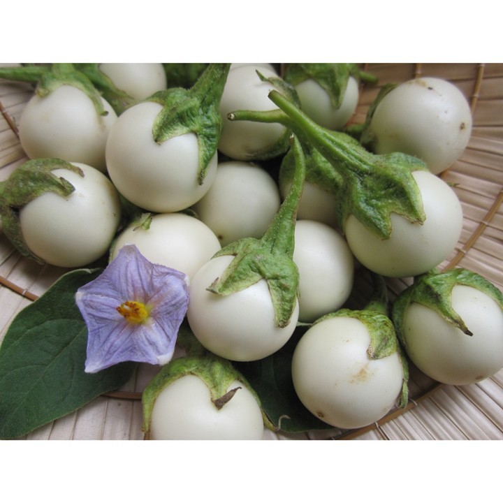Hạt Giống Cà Pháo Trắng F1 Cao Sản 123 PhuNongSeeds - 1g