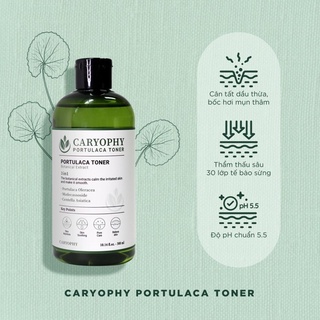 Toner cho da mụn Caryophy Portulaca 300ml